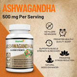 Ashwagandha Maximum Strength - Stress Relief, Cortisol Balance, 60 Vegetarian Capsules, Vegan, Gluten-Free | Organic Wellness Hub