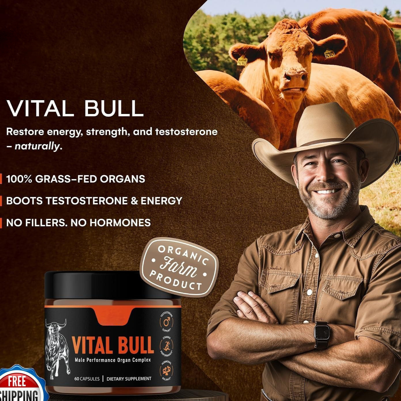 Vital Bull Male Performance Organ Complex | Testosterone Support, Stamina & Hormonal Balance | 60 Capsules ? Organic Wellness Hub