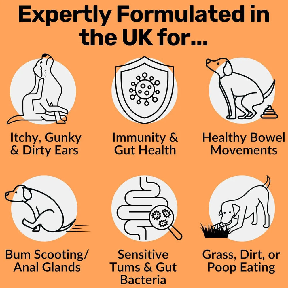 Organic Wellness Hub 3X Pre, Pro & Post-Biotic Dog Treats | Lab Tested Gut & Immune Support