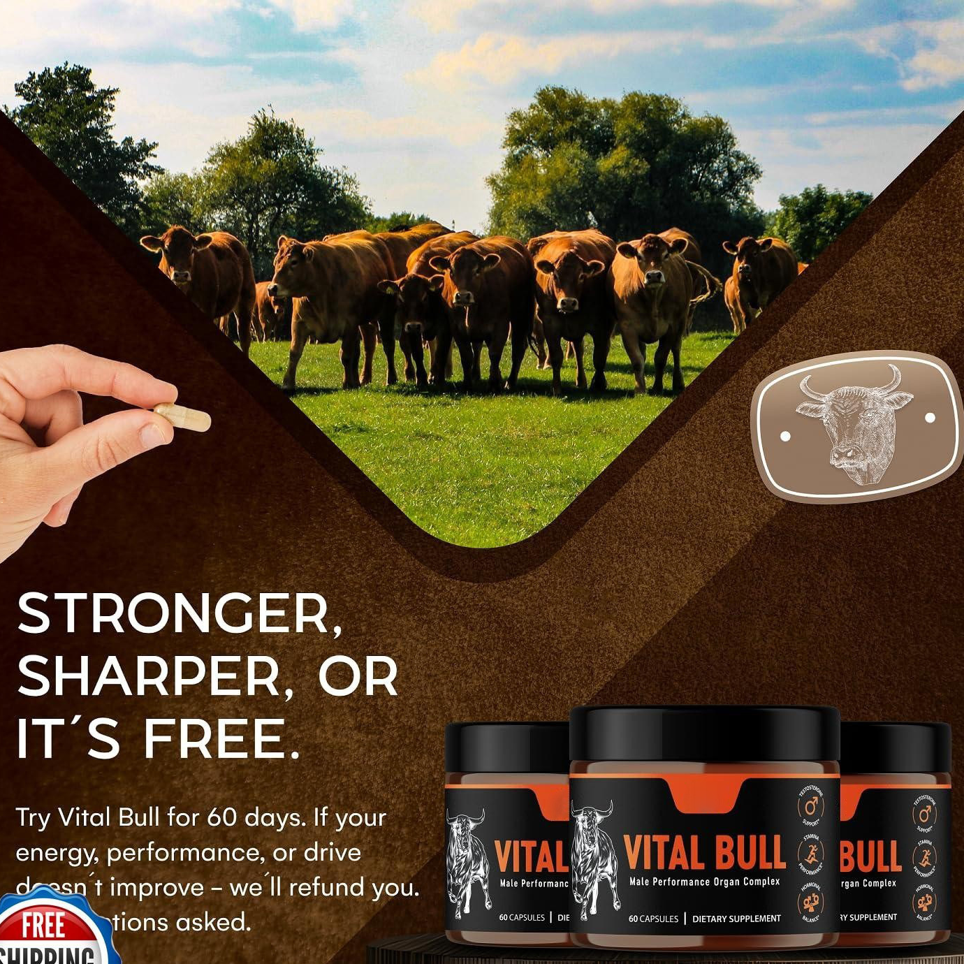 Vital Bull Male Performance Organ Complex | Testosterone Support, Stamina & Hormonal Balance | 60 Capsules ? Organic Wellness Hub