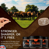 Vital Bull Male Performance Organ Complex | Testosterone Support, Stamina & Hormonal Balance | 60 Capsules ? Organic Wellness Hub