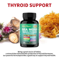 WinsTown Sea Moss 16-in-1 Supplement ? Black Seed Oil, Ashwagandha, Ginger, Burdock Root, Turmeric, Bladderwrack & More | 102+ Vitamins & Minerals | Extra Strength | 60 Capsules