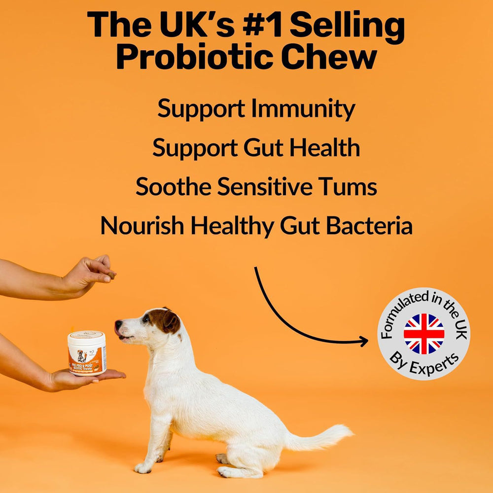 Pre, Pro & Post-Biotic Dog Treats - Triple-Action Gut, Digestion & Immune Support with EpiCor Pets (120 Chews, 300g) | Organic Wellness Hub