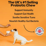 Organic Wellness Hub 3X Pre, Pro & Post-Biotic Dog Treats | Lab Tested Gut & Immune Support