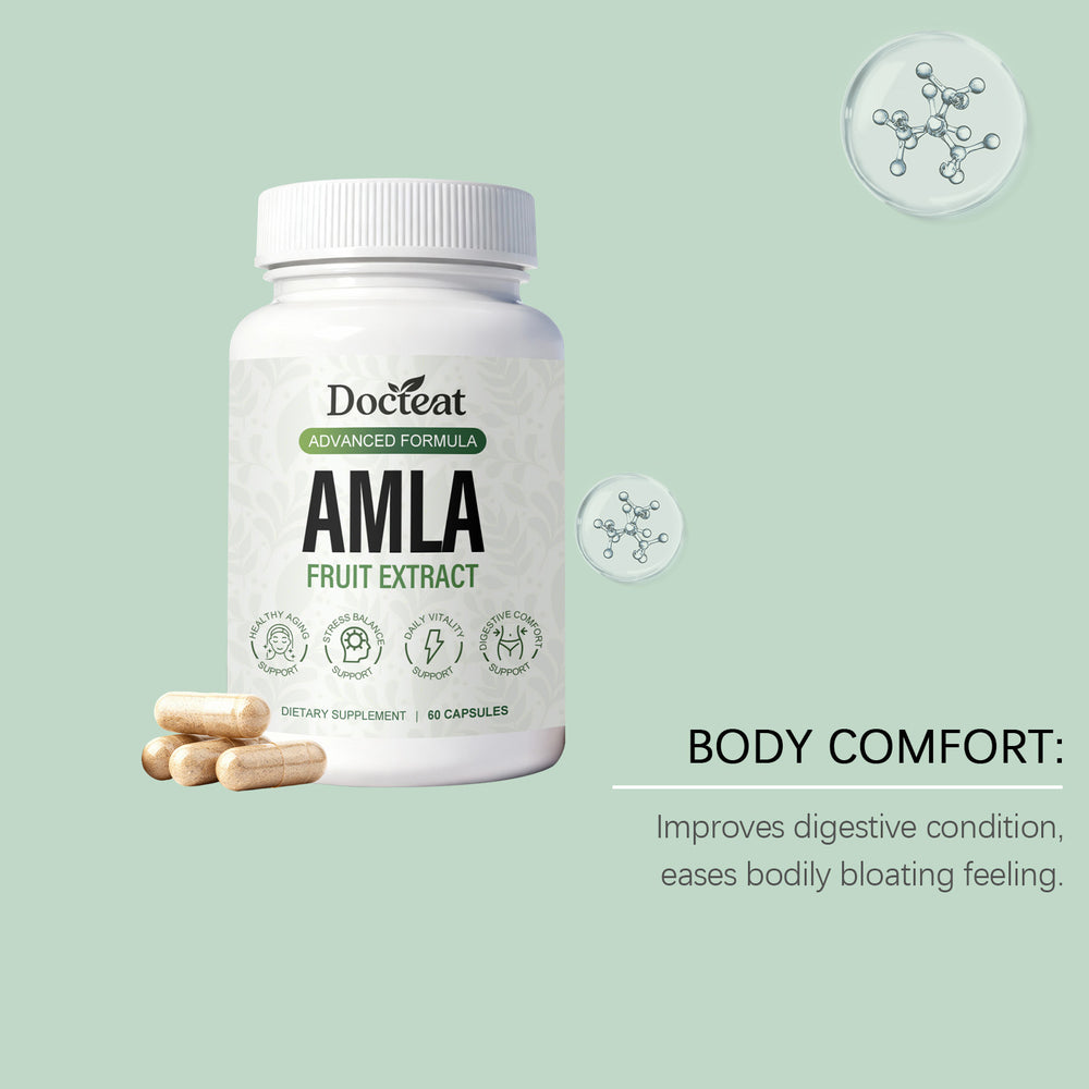 Amla Fruit Extract Capsules 60 Count - Antioxidant Support, Immune Health & Daily Wellness | Organic Wellness Hub