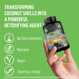 Activated Charcoal 1200mg Capsules - Coconut Shell Derived Digestive Support Supplement | 100 Veggie Capsules | Organic Wellness Hub
