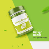Ginkgo Biloba 500mg | 60 Approved Therapeutic Capsules | Organic Wellness Hub