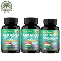 3 Pack WinsTown Sea Moss 16-in-1 Supplement – Black Seed Oil, Ashwagandha, Ginger, Burdock Root, Turmeric & More | 3 x 60 Capsules | 180 Caps Total | Extra Strength 102+ Minerals