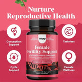 Female Fertility Support 3-Pack – Folate, CoQ10 & Chasteberry | Organic Wellness Hub