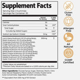 Mushroom Daily Gummies 3-Pack – 3000mg Functional Mushrooms for Brain, Immunity, Energy, Focus & Mood | Wild Raspberry | Organic Wellness Hub