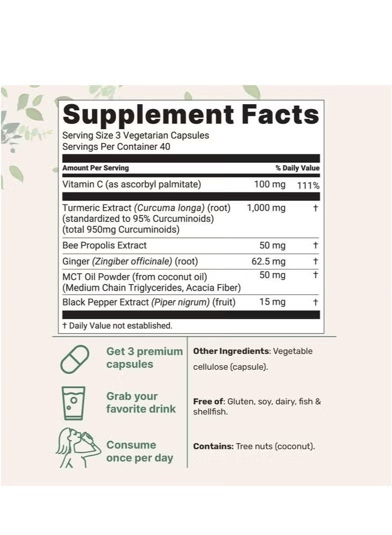 Pure Turmeric Curcumin 95 | 1,000mg | 95% Curcuminoids | Lab-Tested | 120 Vegetarian Capsules – Organic Wellness Hub
