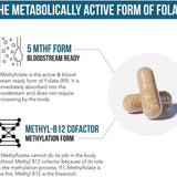 3-Pack L-Methylfolate 5-MTHF 15mg + Methyl B12 | Maximum Strength Active Folate | Brain, Mood & Heart Support | Lab Tested | Organic Wellness Hub