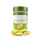 Ginkgo Biloba 500mg | 60 Approved Therapeutic Capsules | Organic Wellness Hub