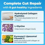 Happy Mammoth Complete Gut Repair™ 3-Pack Bundle | Vanilla Bean Gut Health Supplement | Leaky Gut, Microbiome & Digestion | Lab Tested | 3 × 360g | Organic Wellness Hub