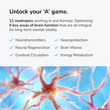 Universal Nootropic | Focus, Memory & Clarity | 60 Capsules | Organic Wellness Hub