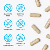 Universal Nootropic | Focus, Memory & Clarity | 60 Capsules | Organic Wellness Hub