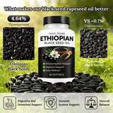 Ethiopian Black Seed Oil 100% Pure Softgels - 60 Softgels | Natural Balance, Immune & Gut Support | Lab Tested | Organic Wellness Hub