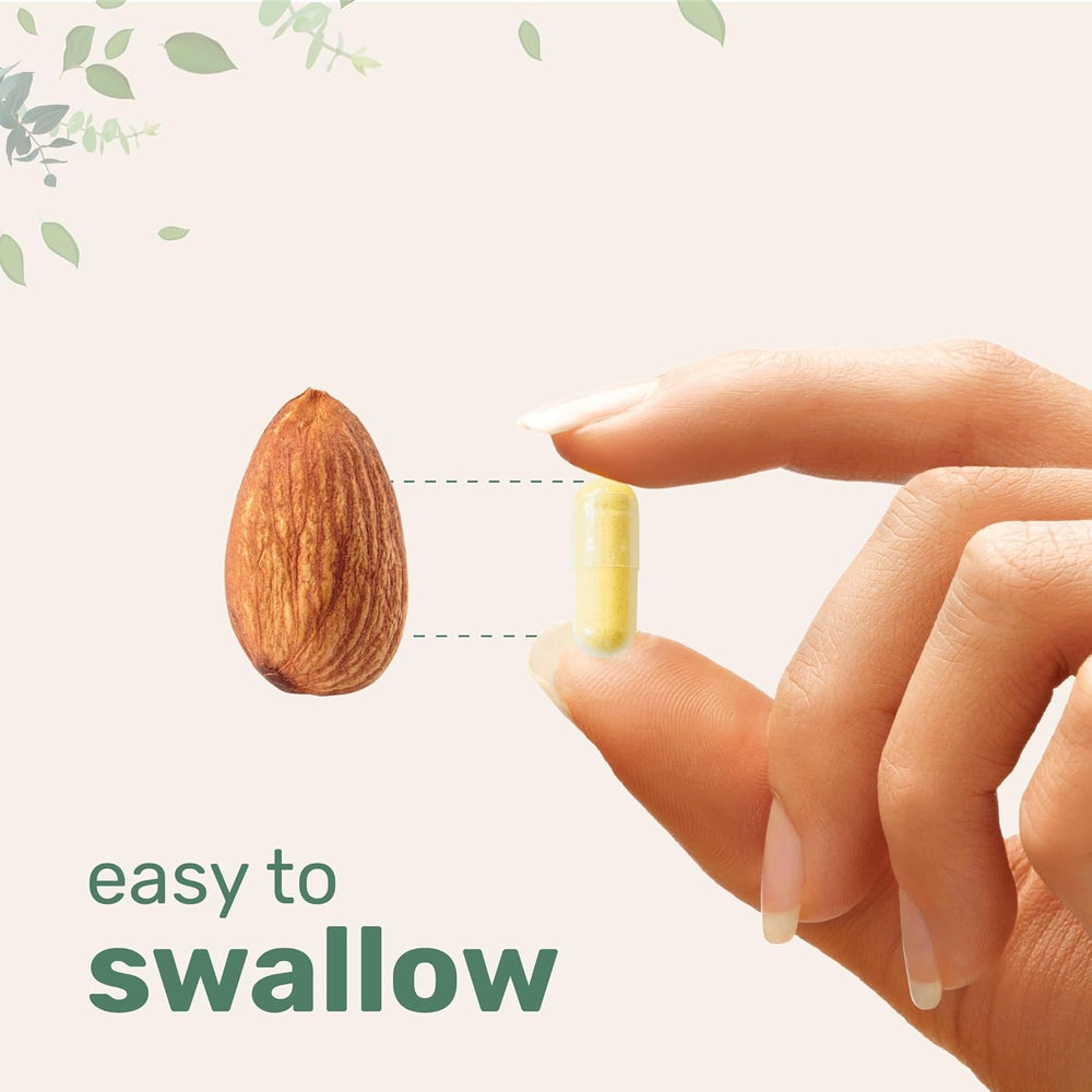 Organic Wellness Hub | Saffron+ Advanced Capsules 60ct — Clean Ingredients Only, Vegetarian, Mood Support, Lab Tested Dietary Supplement by Micro Ingredients
