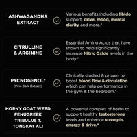 2 Pack Terra ELMNT Testosterone Support for Men – Ashwagandha, Pycnogenol, Tongkat Ali, Horny Goat Weed & Tribulus | 2 x 90 Capsules | 180 Caps Total | Natural Test Booster