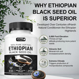 Ethiopian Black Seed Oil 100% Pure Softgels - 60 Softgels | Natural Balance, Immune & Gut Support | Lab Tested | Organic Wellness Hub