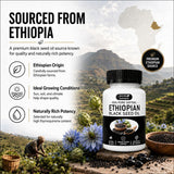 Purely Nutrient Ethiopian Black Seed Oil Softgels | 100% Pure Nigella Sativa | Thymoquinone