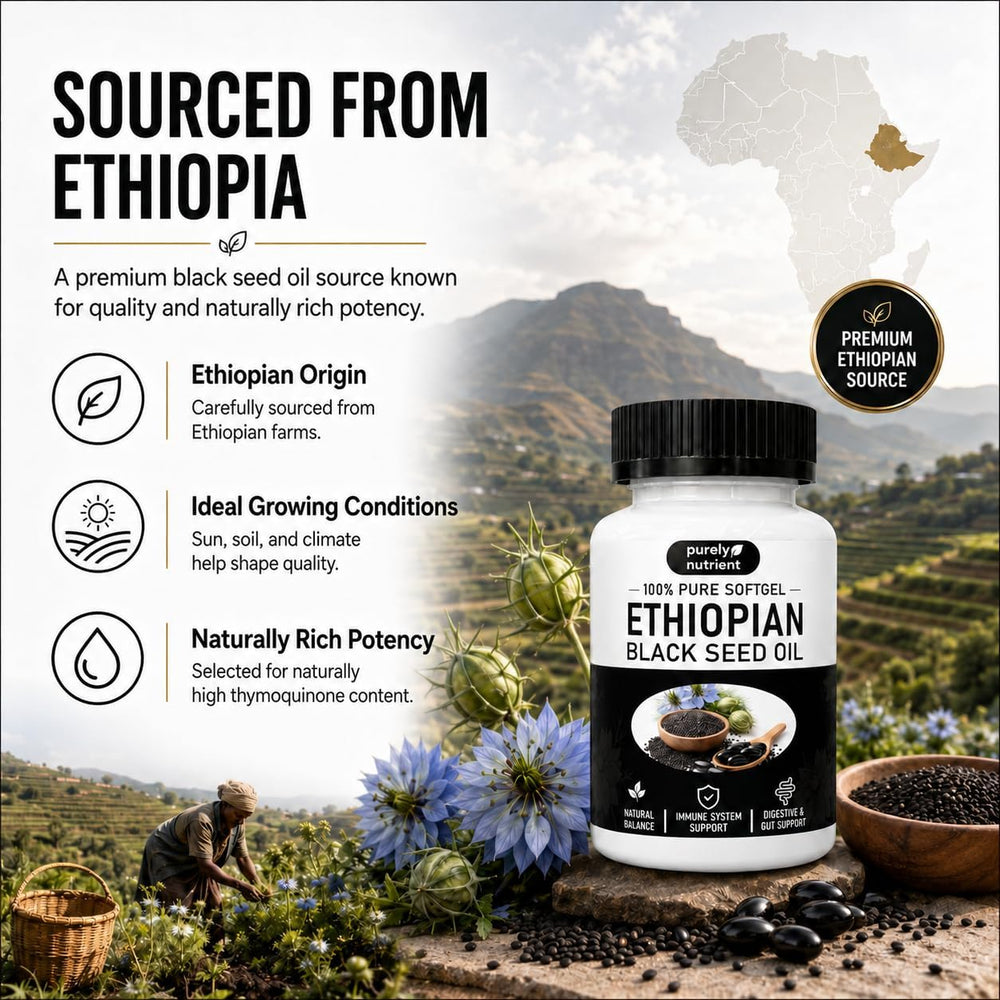 Purely Nutrient Ethiopian Black Seed Oil Softgels 3-Pack | 100% Pure Nigella Sativa | 180 Softgels