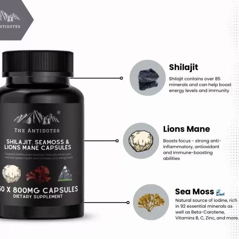 Shilajit Sea Moss & Lion's Mane Capsules 800mg - Brain, Energy & Daily Wellness Support | 60 Capsules | Organic Wellness Hub