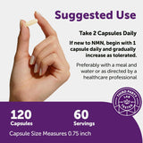 Micro Ingredients NMN 1000mg ? Ultimate 10-in-1 -Nicotinamide Mononucleotide Supplement | 120 Vegetarian Capsules | NAD+ Booster, Anti-Aging & Energy Support | cGMP Certified | Organic Wellness Hub