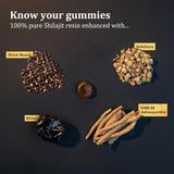 Pure Himalayan Shilajit Gold Gummies 3000mg | KSM-66 Ashwagandha, Black Musli & Gokshura | Natural Energy, Stamina & Focus | Lab Tested | Organic Wellness Hub