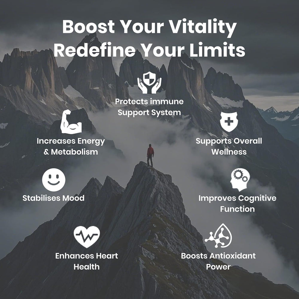 Flynew Shilajit Ultra Optimal Potency | Immune Defense, Energy & Adrenal Support | 60 Capsules | Made in USA | Lab Tested | Organic Wellness Hub