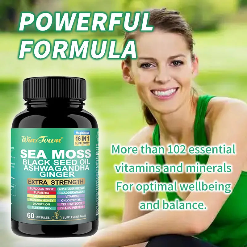3 Pack WinsTown Sea Moss 16-in-1 Supplement – Black Seed Oil, Ashwagandha, Ginger, Burdock Root, Turmeric & More | 3 x 60 Capsules | 180 Caps Total | Extra Strength 102+ Minerals