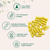 Micro Ingredients Berberine with Ceylon Cinnamon, Chromium & Turmeric - 240 Vegetarian Capsules | Premium Blood Sugar & Metabolism Support Supplement