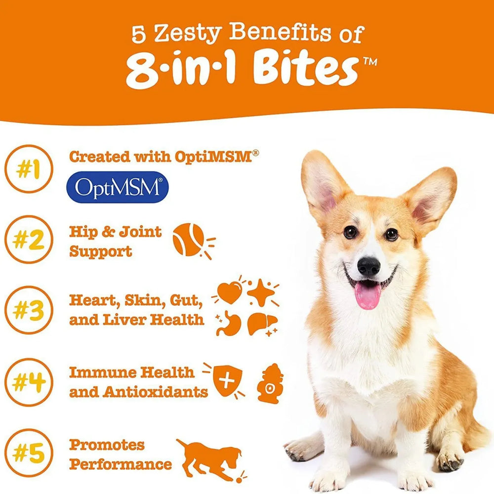 8-in-1 Bites Dog Multivitamin 3-Pack Bundle | 270 Soft Chews | Hip, Heart & Immunity Support | Organic Wellness Hub