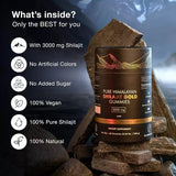 Gold Shilajit Gummies 3000mg with Ashwagandha, Black Musli & Gokshura | 80 Gummies