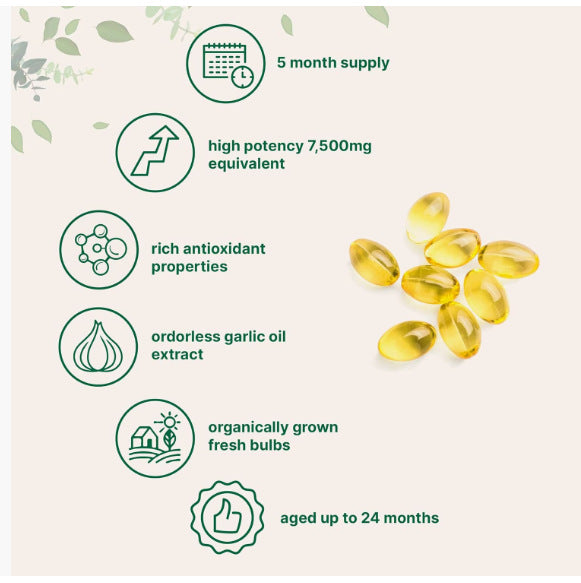 Odorless Aged Garlic Extract | 300 Softgels | Heart Health, Immunity & Antioxidant Support | GMO Free, Gluten Free, Lab Tested | Organic Wellness Hub