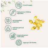 Odorless Aged Garlic Extract | 300 Softgels | Heart Health, Immunity & Antioxidant Support | GMO Free, Gluten Free, Lab Tested | Organic Wellness Hub