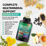 Sea Moss Black Seed Oil Ashwagandha Ginger Capsules 19,445mg - 16-in-1 Wellness Formula | Organic Wellness Hub