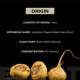Terra ELMNT Black Maca + Ashwagandha 3-Pack | 180 Capsules