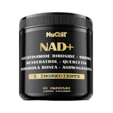 NAD+ Supplement | Nicotinamide Riboside 900mg + Resveratrol, Quercetin, Rhodiola Rosea & Ashwagandha | 60 Capsules - Organic Wellness Hub