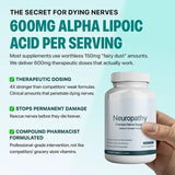 Neuropathy Premium Nerve Support Supplement - Maximum Strength Formula 120 Capsules | Organic Wellness Hub