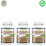 Ashwagandha Maximum Strength - 3 Pack Bundle, 180 Vegetarian Capsules, Stress & Cortisol Support, Vegan | Organic Wellness Hub