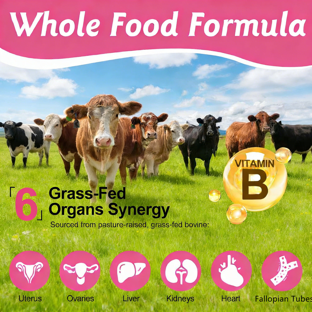 Prime Beef Organ Capsules 3 Pack | Grass-Fed & Pasture-Raised Beef Organs | 180 Capsules Total | Lab Tested | Organic Wellness Hub