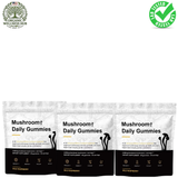 Mushroom Daily Gummies 3-Pack – 3000mg Functional Mushrooms for Brain, Immunity, Energy, Focus & Mood | Wild Raspberry | Organic Wellness Hub
