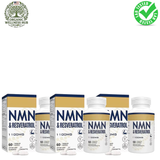 NMN & Resveratrol 1100mg 3-Pack – 90-Day NAD+ Booster & Anti-Aging Bundle | Organic Wellness Hub