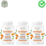 Pure Turmeric Curcumin 95 1000mg 3-Pack Bundle – Lab Tested, Highly Bioavailable with Black Pepper, Ginger & MCT Oil | Organic Wellness Hub