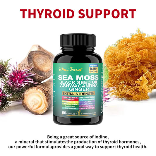 WinsTown Sea Moss 16-in-1 Supplement ? Black Seed Oil, Ashwagandha, Ginger, Burdock Root, Turmeric, Bladderwrack & More | 102+ Vitamins & Minerals | Extra Strength | 60 Capsules
