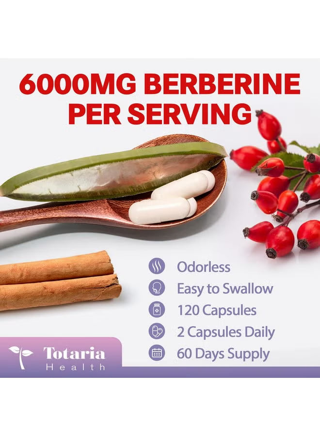 Totaria Health Berberine 27-in-1 3-Pack – Berberine with Ceylon Cinnamon & Milk Thistle | 360 Capsules | Organic Wellness Hub