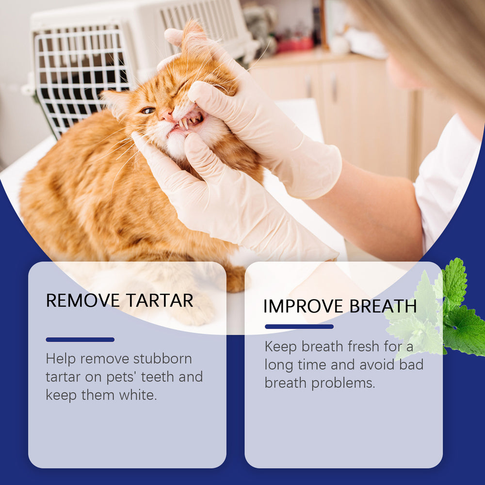 Breath Buddy – Pet Dental Supplement for Dogs & Cats | Fresh Breath, Whiter Teeth (30 Servings)