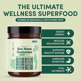 3-Pack Sea Moss Gummies 6000mg | 16-in-1 Irish Sea Moss Bundle with Burdock Root, Bladderwrack & Ashwagandha | 90 Gummies | Best Value – Organic Wellness Hub
