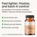 14 Day Colon Cleanse Detox Capsules | Digestive Support & Gut Health Formula | 90 Vegan Capsules | Organic Wellness Hub